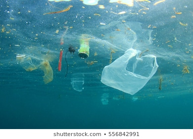 PLASTIC-POLLUTION-OCEAN-260NW-556842991